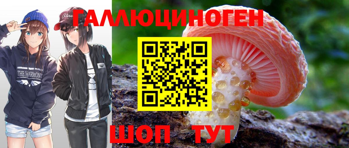 Псилоцибиновые грибы MAGIC MUSHROOMS  Вход с VPN  Дятьково  как найти закладки  Псилоцибиновые грибы MAGIC MUSHROOMS 